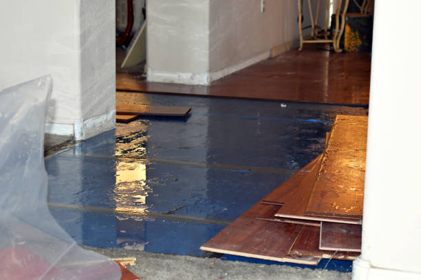 Professional Storm Water Damage Restoration technician working in Junction City, OR